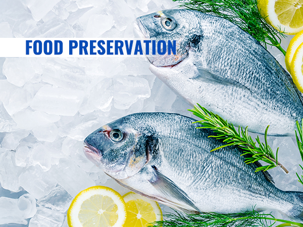 ice maker for food preservation