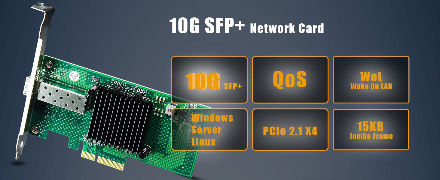 10Gb SFP+ NIC