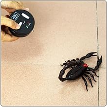 rc scorpion remote control animal prank toys for kids
