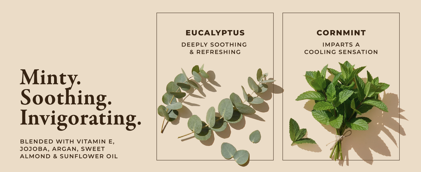 A visual display of the ingredients in this oil specifically highlighting spearmint and cornmint