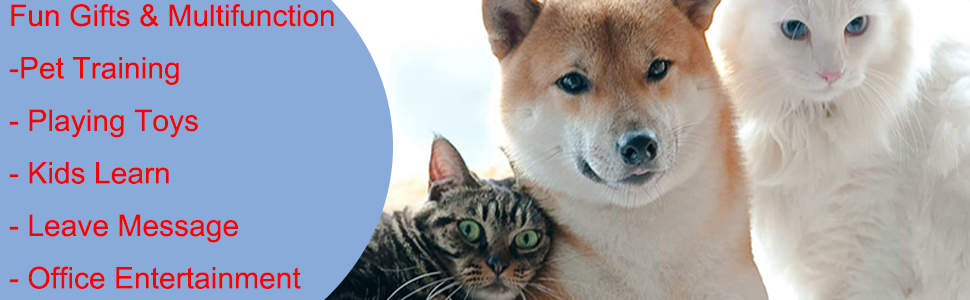 dog buttons for communication