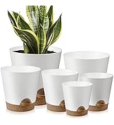 YNNICO Indoor Self Watering Planters with Drainage Holes and Saucers, 8, 7, 6.5, 6, 5.5, 5 Inches...