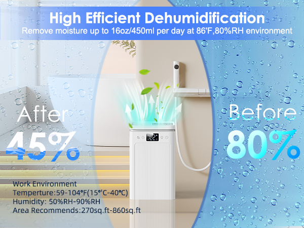 Dehumidifier
