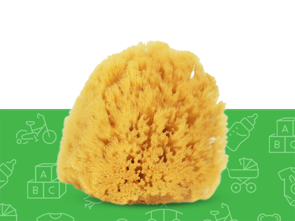 wool sea sponge