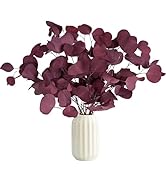 Oning 10 PCS Real Red Christmas Flowers Silver Dollar Eucalyptus Stem for Fall Decor, 15''-17'' F...