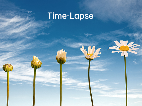 vlogging camera for YouTube