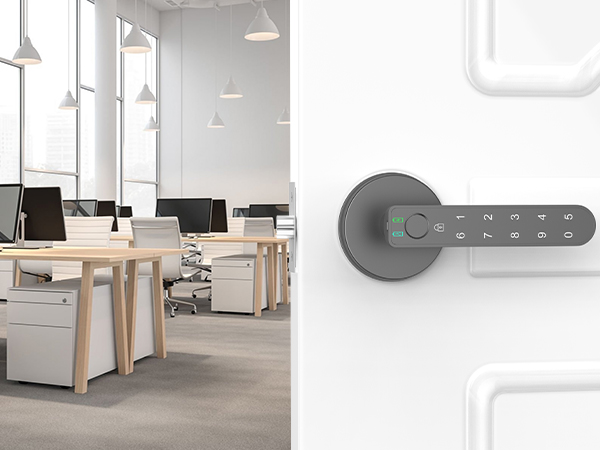 biometric door lock