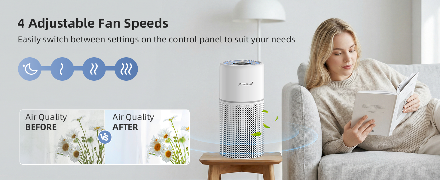 air purifier large room