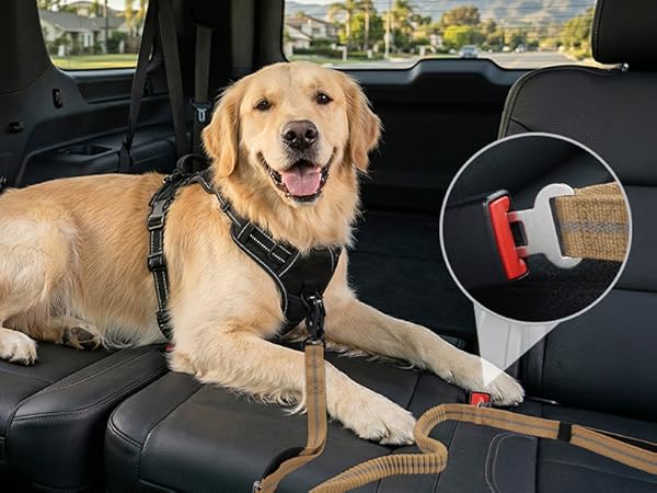360 degree reflective stitching dog lead for night walking safety under car headlights
