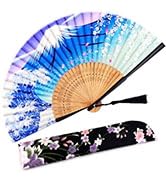 Amajiji Folding Hand Fan