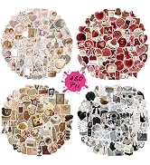 BOMICHI 480 Pcs Aesthetic Stickers Pack - Vintage Vinyl Stickers for Scrapbook, Journaling, Lapto...
