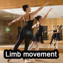 Limb movement tattoo grip tape