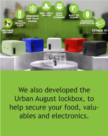 urban august lockbox boxes that lock medicine fridge box