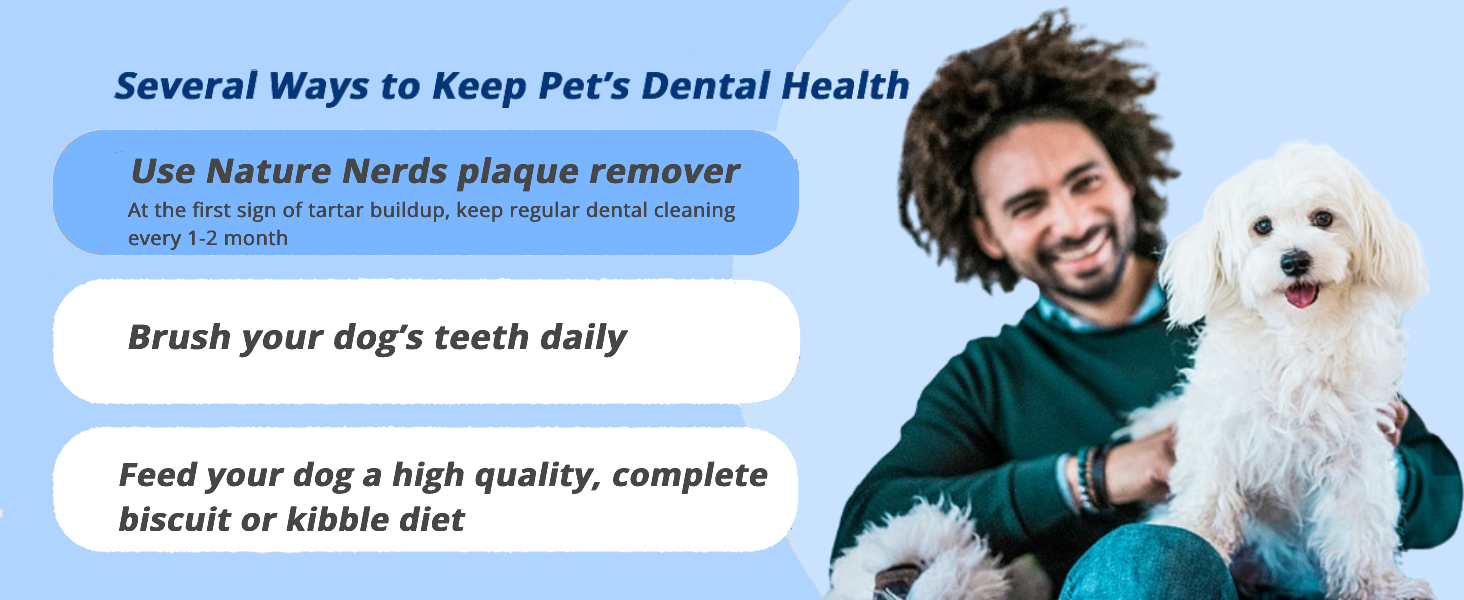 Keep Dogs Dental Health