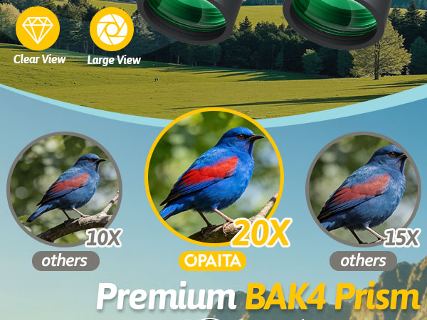 binoculars for adults