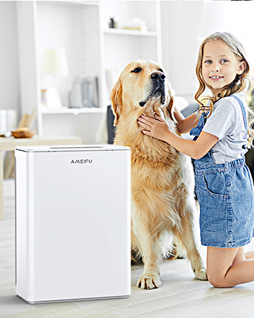 AIR PURIFIER for large home