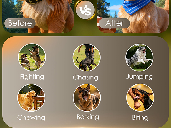 dog bark deterrent devices