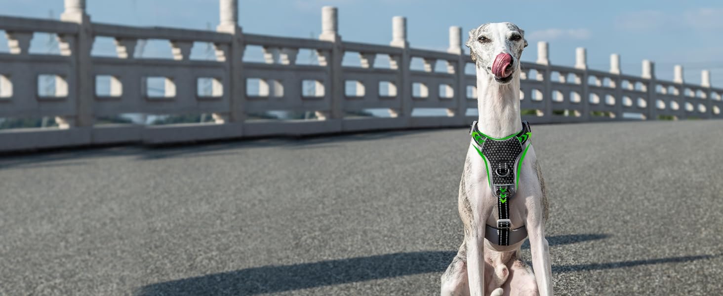 escape proof dog harness