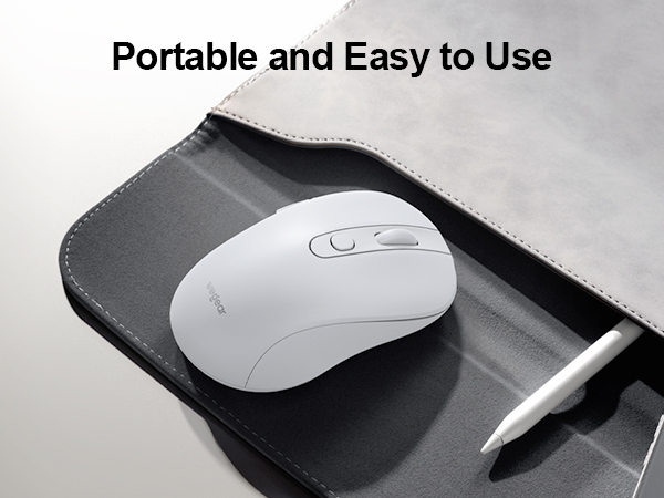 computer mouse
