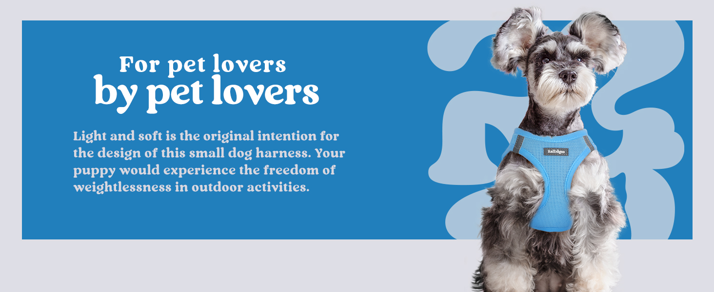 light blue harness for small dogs