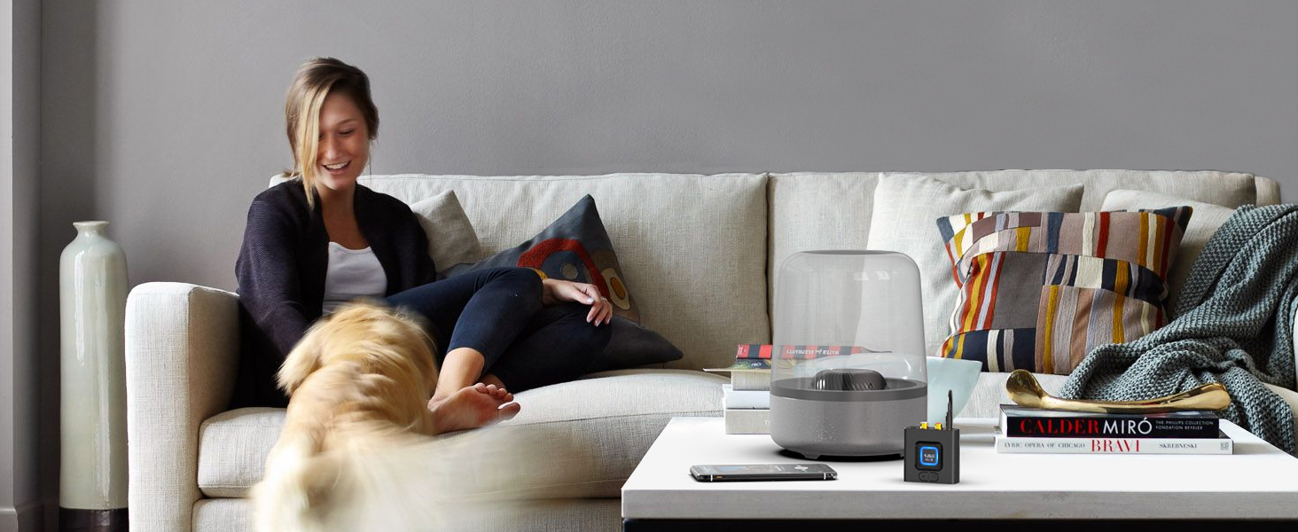 A New Immersive Sound Experience for Lossless Music