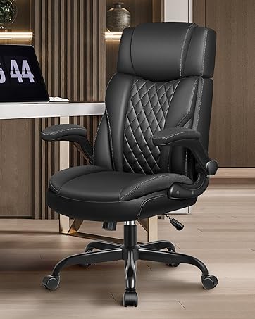 Desk Chair with Lumber support
