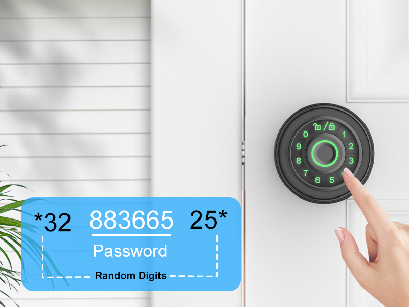 fingerprint smart door