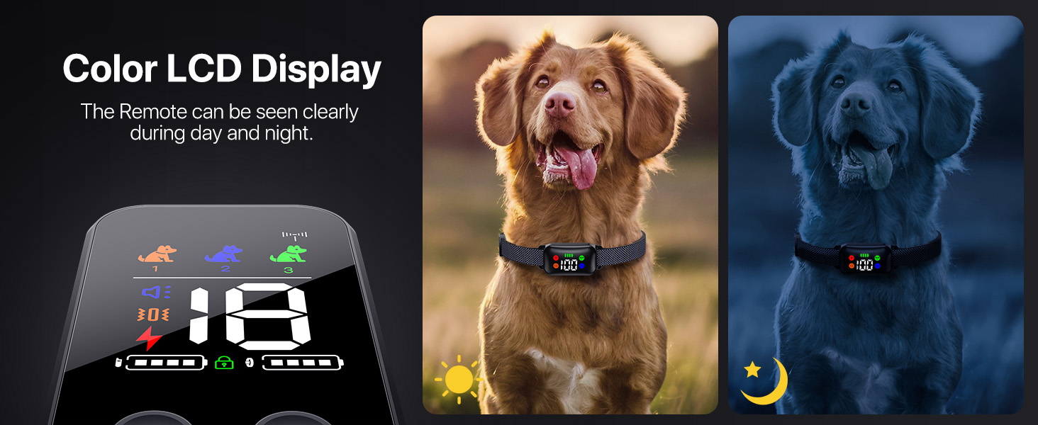 dog e collar
