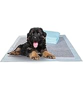 BV Pet Training Pads for Dogs and Puppies, 28" x 34", 40-Count, Charcoal Training Pad, Pee Pads P...