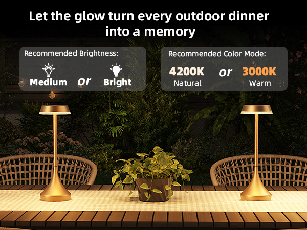 cordless table lamps rechargeable