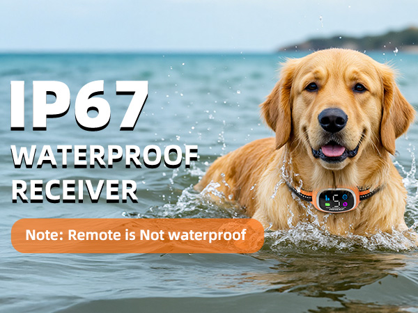 IP67 Waterproof Receiver