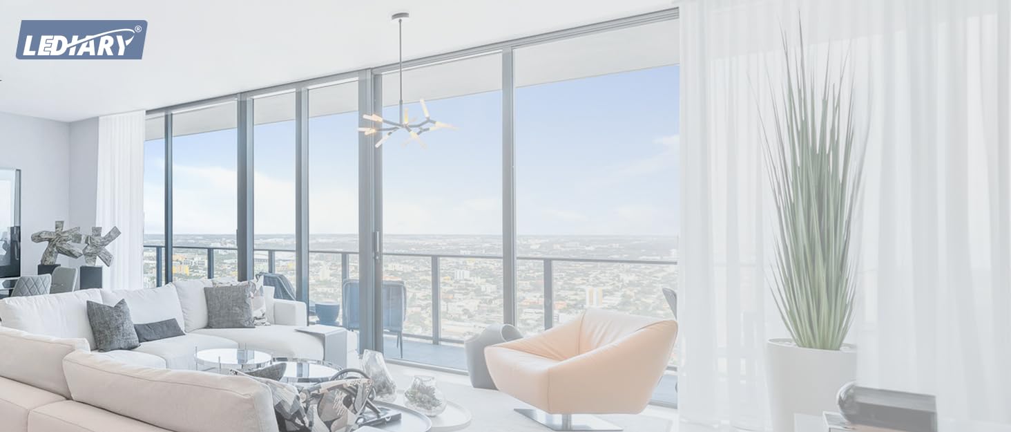 Lediary Ceiling Fans with Lights