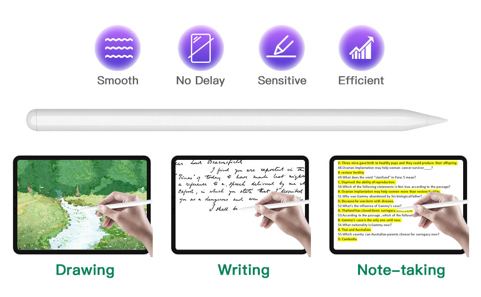 Stylus Pen