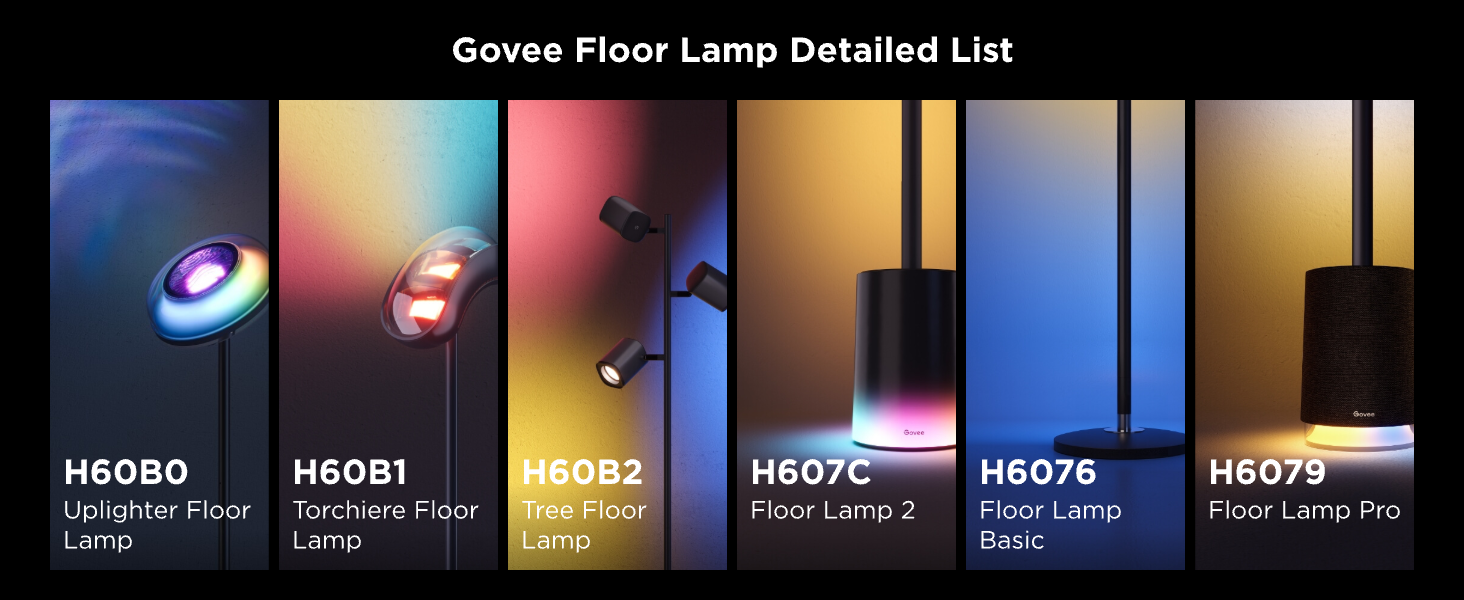 Govee Floor Lamp Detailed List