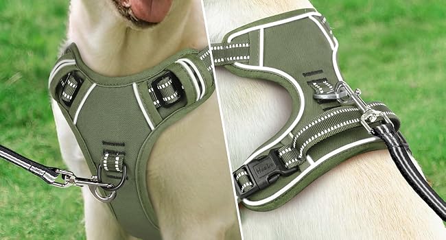 dog harness midium size dog