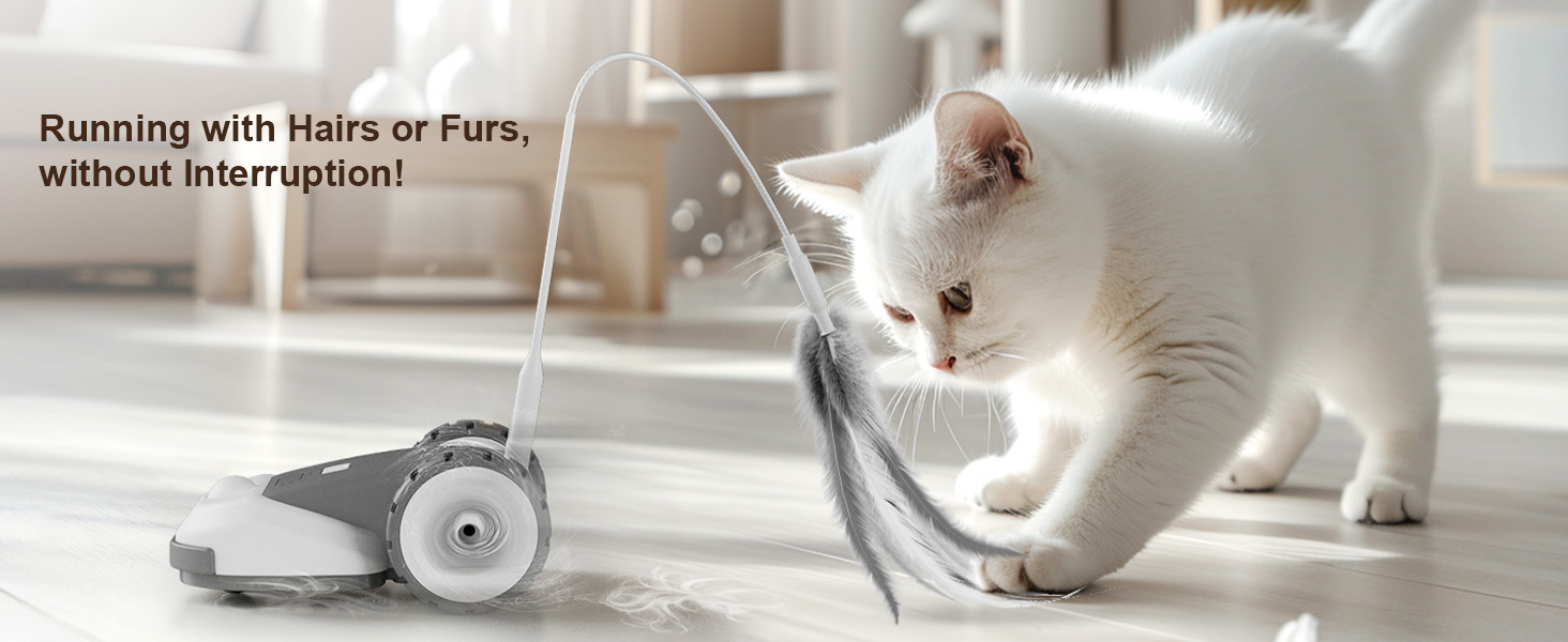 Interactive Cat Toy