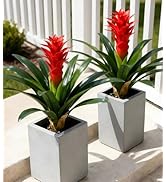 Ivydale Fake Flowers Plants for Outdoors, 2 Pcs 16.93" Bromeliad Artificial Flowers Uv Resistant ...