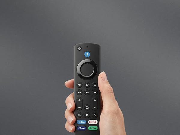 voice remote