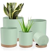 YNNICO Plant Pots with Drainage Holes and Saucers – 7, 6.5, 6, 5, 4 Inch Plastic Planters for Ind...