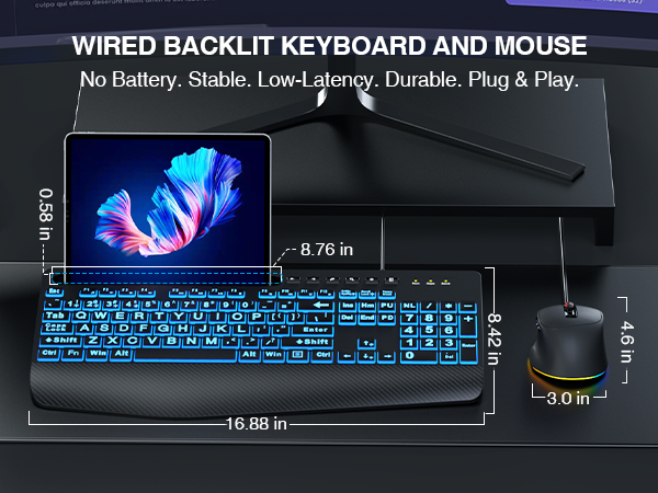Backlit keyboard and mouse