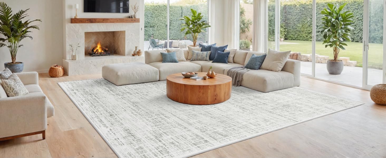 Area Rug Living Room Rugs