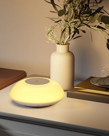 Smart Desk lamp