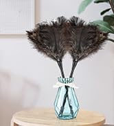 ostrich feather duster for cleaning