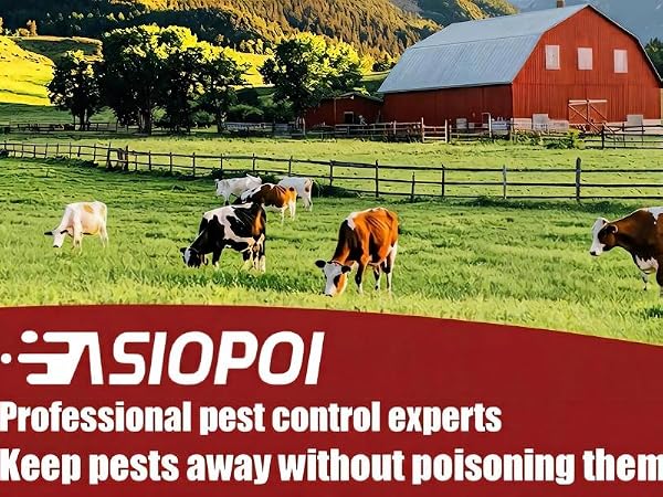 rodent repellent