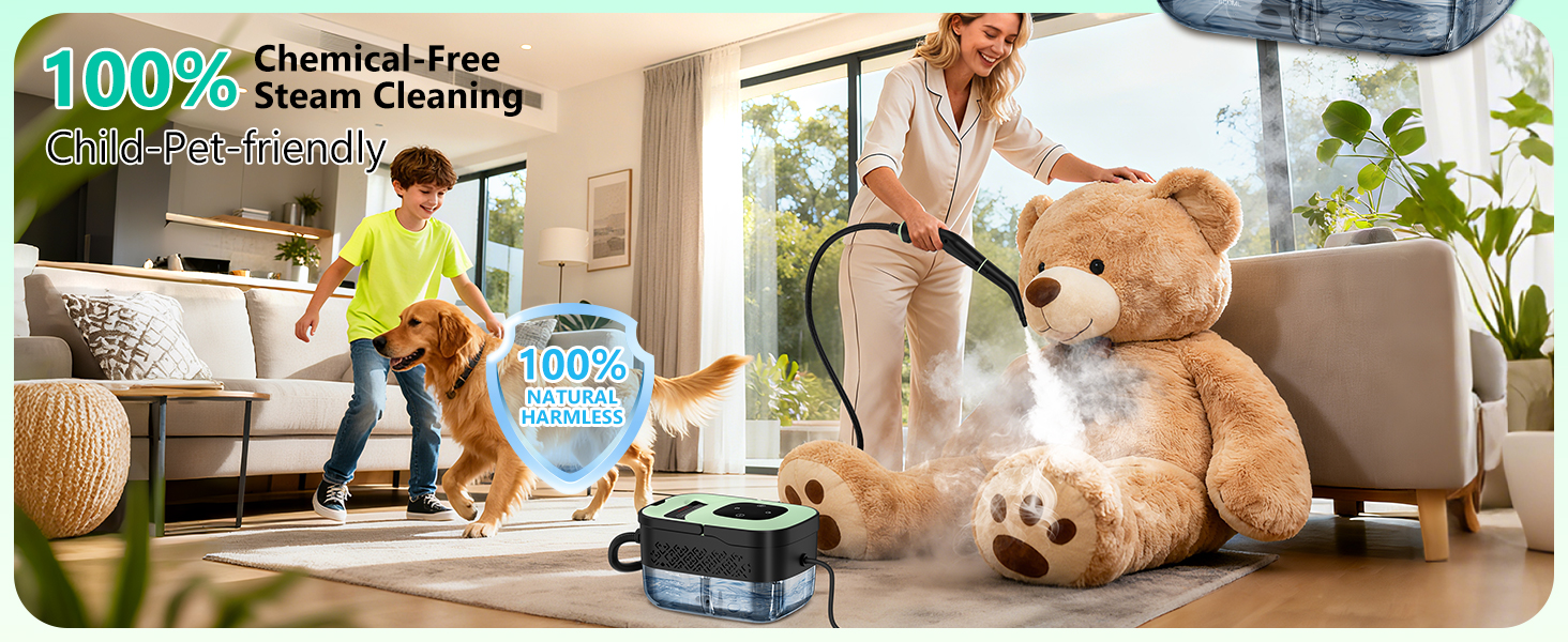 steam cleaner