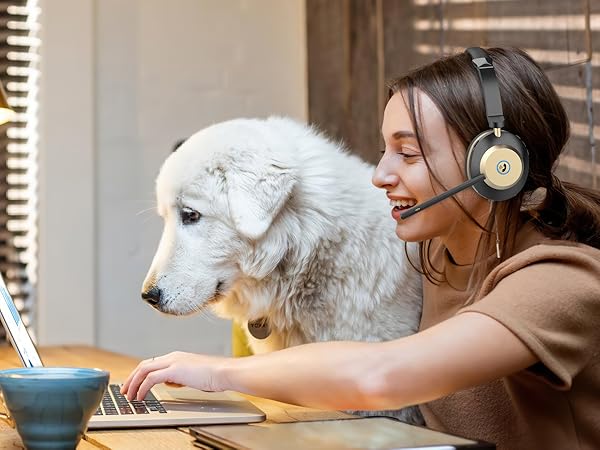 office headset with mic
