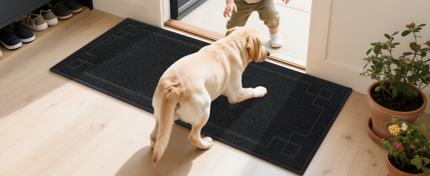 entryway rug