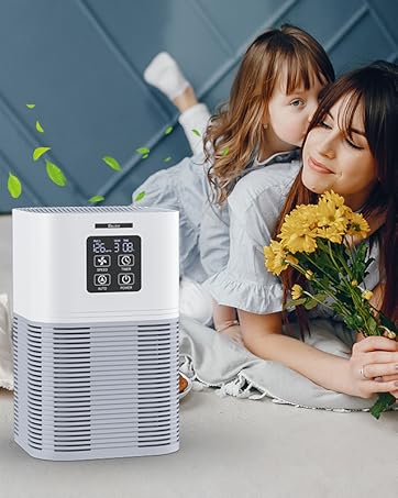 A1 Air Purifier