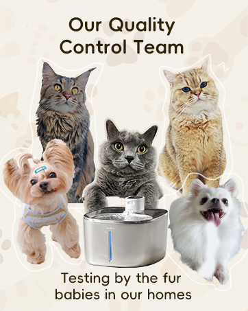 cat fountain