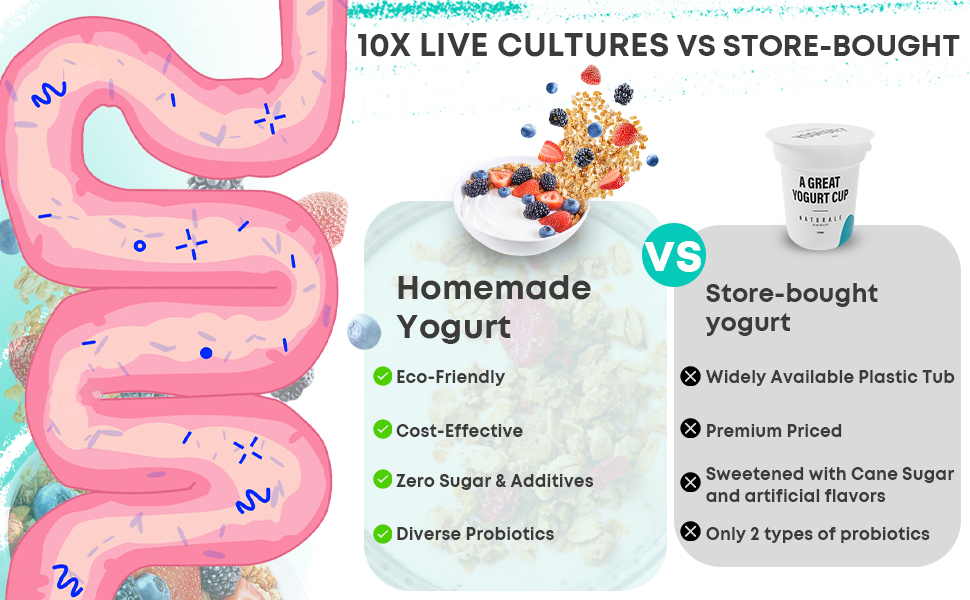 Homemade yogurt with 10x more probiotics and cost savings versus store-bought.